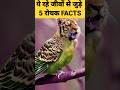 ये रहे जीवों से जुड़े 5 रोचक FACTS| 5 AMAZING FACTS ABOUT ANIMALS|#shorts #facts