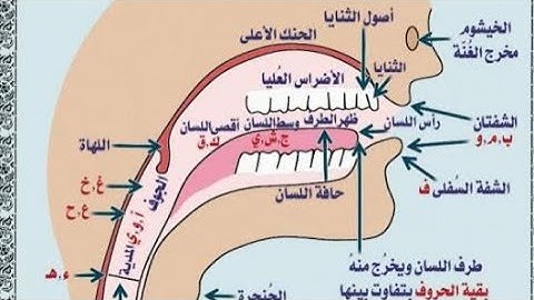 من أحكام التجويد (حكم النون والميم المشددتين) تربية دينية للصف الأول الإعدادي.