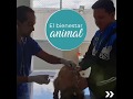 Repotenciación de los Centros Veterinarios en Quito -  22 Mayo 2019