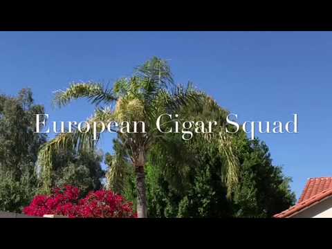 Acid Blondie Cigar Review