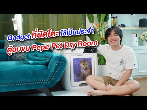 รีวิวของใช้น้องหมานัตโตะ EP.1 ตู้อบขนน้องหมา 🐶🐕🥰