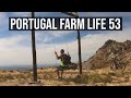 Portugal Farm Life 53 - Bom dia, its a good day