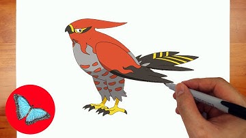 How To Draw Pokemon - Talonflame Step by Step