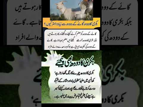 Bakri Ka Doodh Peene Ke Fayde Goatmilk Ytshorts Shorts