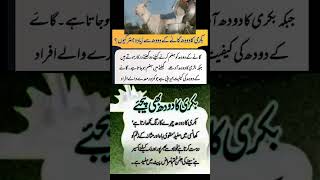 Bakri Ka Doodh Peene Ke Fayde