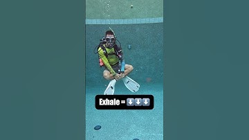 Breathing helps control buoyancy! #scubadiving #underwater #scuba  #diving #howto