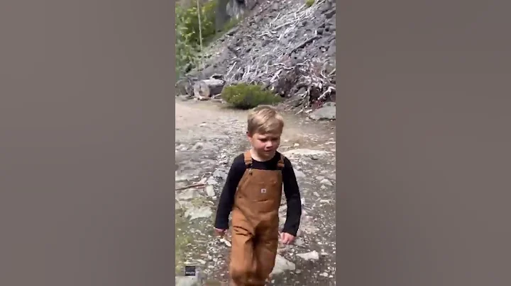 Bear Stalks Family Along Hiking Trail 😳