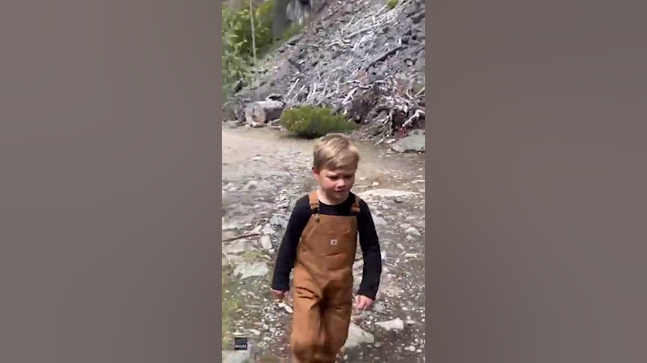 Bear Stalks Family Along Hiking Trail 😳