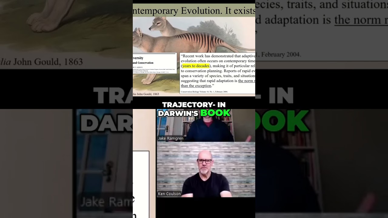 YouTube player