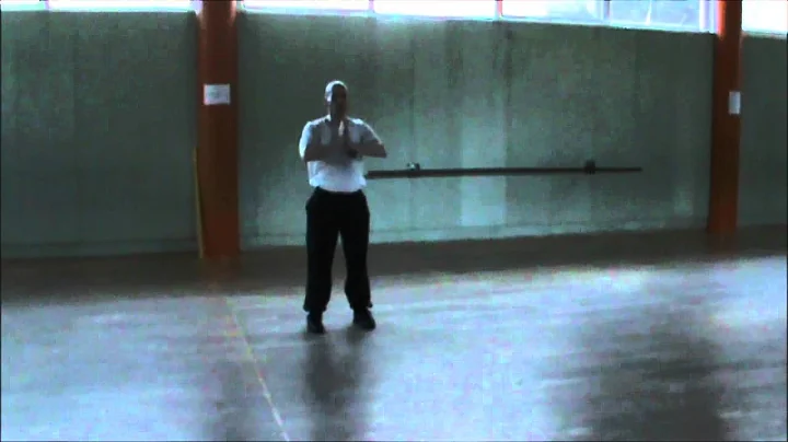 Shaolin Qi Xing Quan - Massimiliano Bellizia