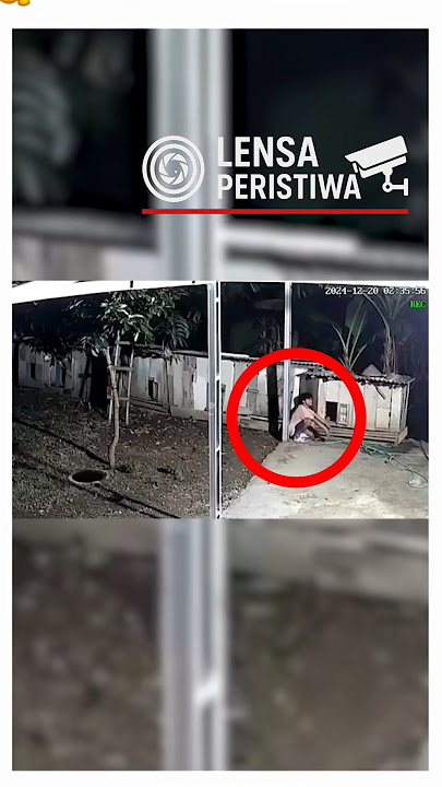 Maling Ayam di tengah malam.