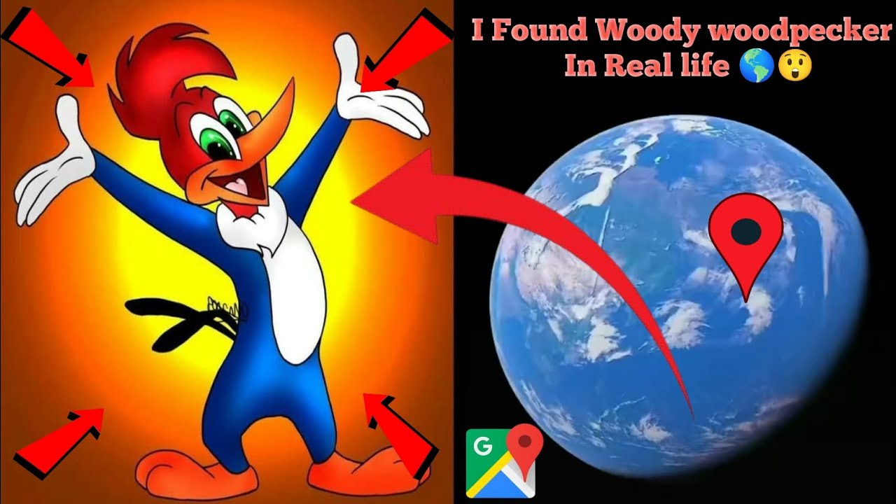 I Found Woody woodpecker In Real On life On Google Earth 🌎 #googleapps ...