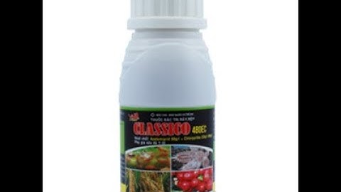 CLASSICO 480EC – THUỐC ĐẶC TRỊ SÂU ĐỤC THÂN, RỆP SÁP, MỌT ĐỤC CÀNH GÂY HẠI TRÊN CÂY TRỒNG