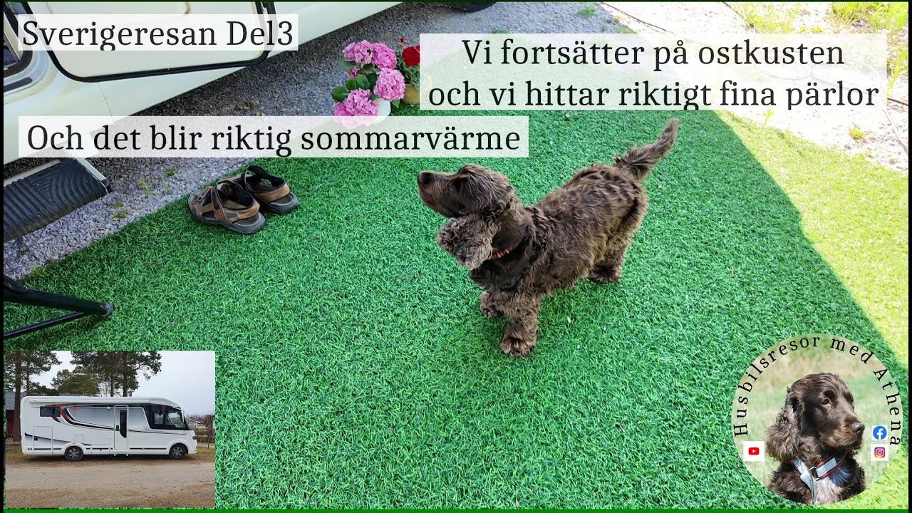 Ostkustens pärlor