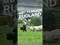 Rudlan gard i gudbrandsdalen shorts