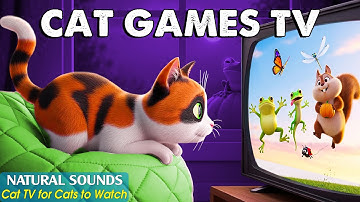 Interactive CAT TV + Real Sounds 🎮Perfect Cat Games That Turn Lazy Cats into Curious Chasers All Day