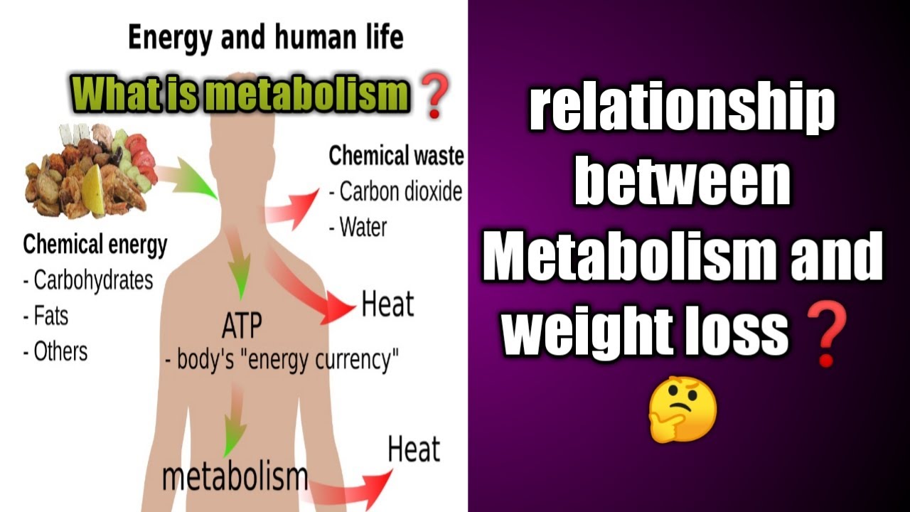 metabolism imbalance