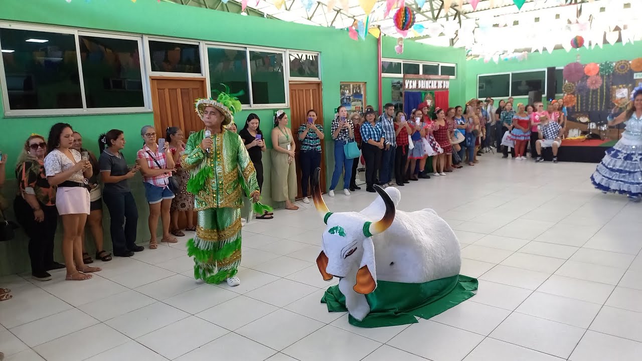 Boi Ribeirinho - FUNATI