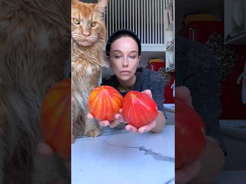 это вам не макароны по-флотски, это паккери с брискетом #асмр #готовимдома #рецепты #еда #готовка
