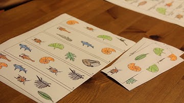 Fossil Lab - relative dating