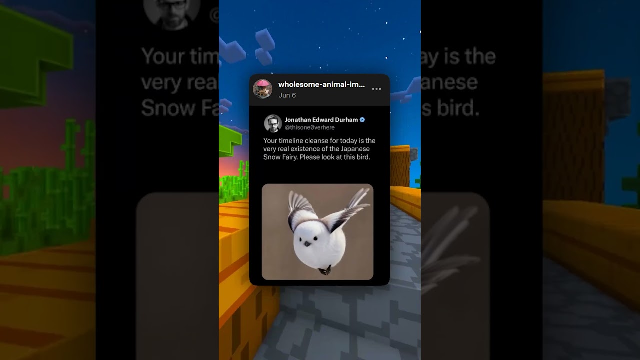 Японская снежная фея!