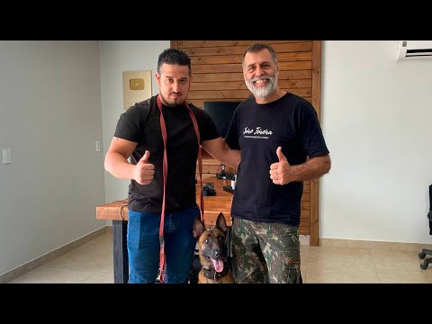 Vídeo: Cão Adoptável da Semana - Caleb