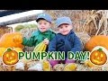 PICKING PERFECT PUMPKINS!