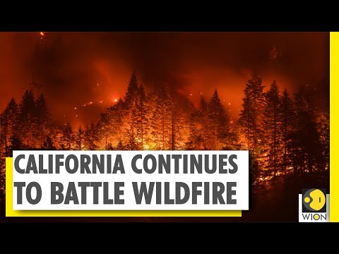 Wildfire in the US state forces thousands to evacuate | California Wildfire | World News