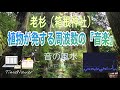 【繁栄・豊かさ・強さ・人気運UP・ﾋﾞﾝﾄﾞｩﾁｬｸﾗ・528 Hz】樹齢600年を超える神聖な『老杉』による演奏「音の風水」× 聴けば聴くほど「TimeWAVER」の調整が入る♪（Part 34）
