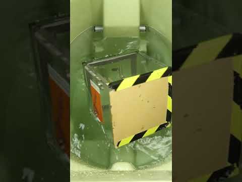 Video: Miks on vesi-hemlock mürgine?