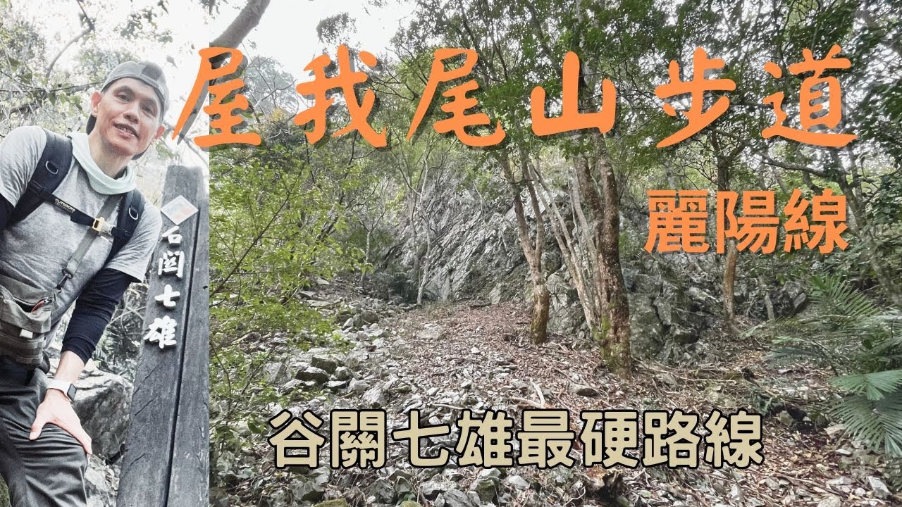 屋我尾山步道 谷關七雄最硬登山路線 攀岩 林相 石瀑 奇岩 秘境山景