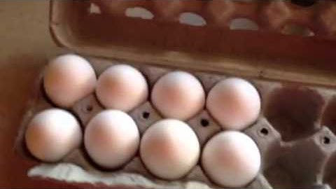 Deviled eggs n ranch