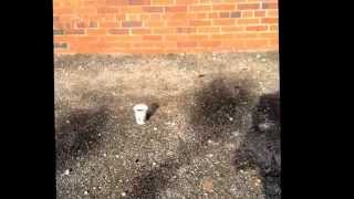 Coffee explodes!