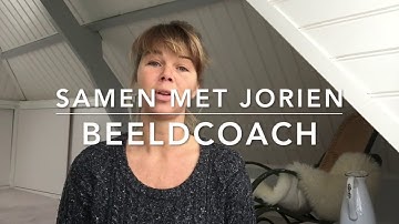 17a) Basisbehoeften van Luc Stevens