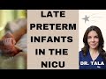 Late Preterm Infants in the NICU - Tala Talks NICU