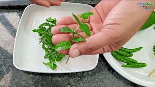 पुदीने की हरी चटनी / Pudine Ki Chutney / Homemade Chutney / Pudina Recipe / chatni recipe in Hindi