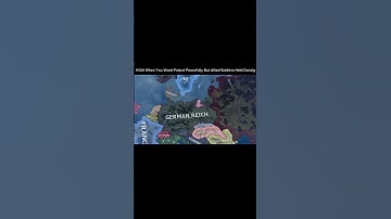 HOI4 When You Want Poland Peacefully But Allied Soldiers Held Danzig