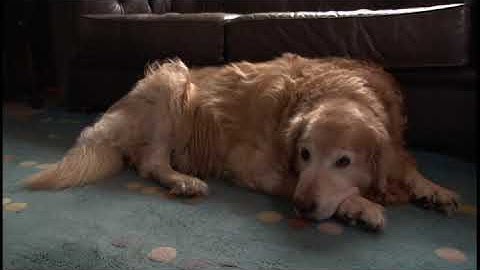 Solutions 3rd edition,Intermediate,unit 7