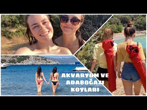 AKVARYUM KOYU İÇİN 4 SAAT YÜRÜDÜK VE GÖRDÜKLERİMİZE İNANAMADIK