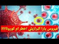 فيروس البرازيل ما هو فيروس يارا وما علاقته بفيروس كورونا