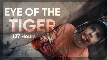 𝟭𝟮𝟳 𝗛𝗼𝘂𝗿𝘀 ll Eye of the TIGER (Tribute)