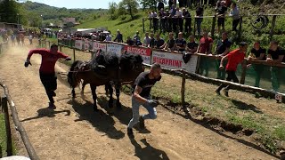 -ALDIN MELIĆ POKOSIO KONKURENCIJU PEROLAKE U BRONZANOM MAJDANU -