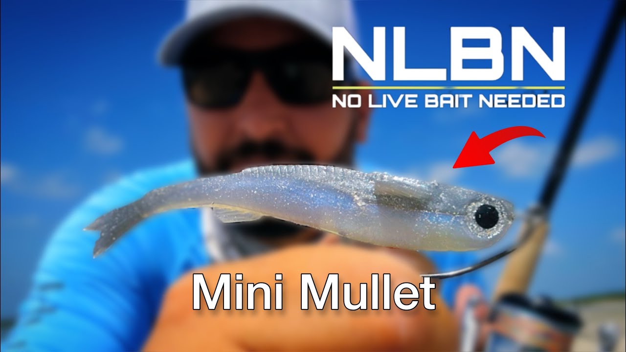 THIS NLBN Mini Mullet Got SMOKED!! 🔥🔥 