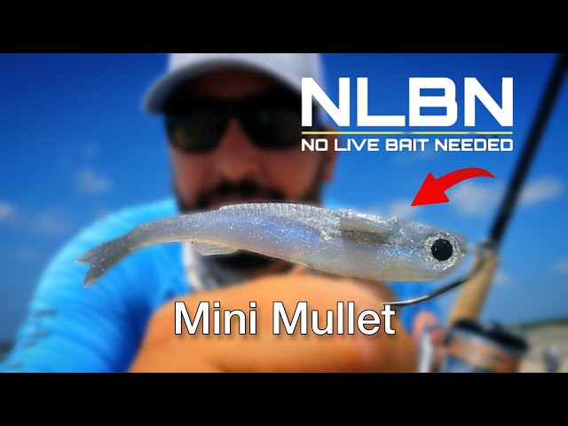 THIS NLBN Mini Mullet Got SMOKED!! 🔥🔥 