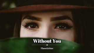 Hamidshax - Without You (Original Mix) Resimi