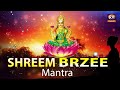 Shreem brzee  shreem brzee mantra  shreem brzee mantra 108 attract money and wealth 100 success