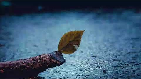 ما تيسر من سورة آل عمران | القارئ عبدالرحمن مسعد