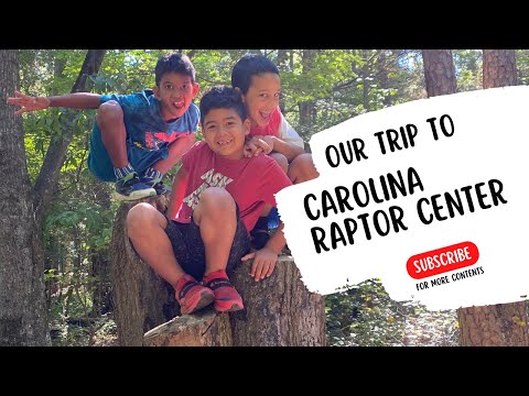 Our Amazing Trip To The Carolina Raptor Center/ Huntersville, NC