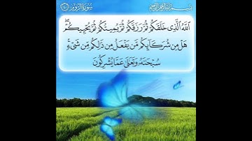 سورة الروم الآية ( 40 )