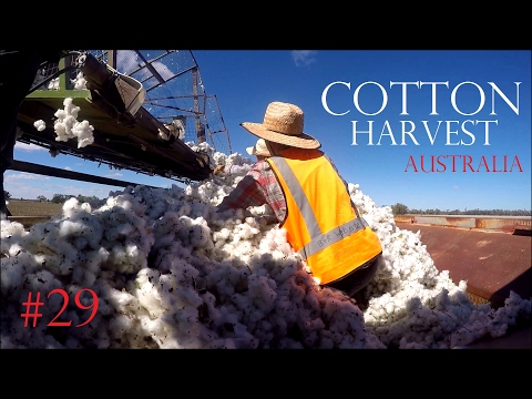 GO PRO COTTON HARVEST AUSTRALIA ? Farm Work in the Outback✔Backpacking Adventure - Worldtravel